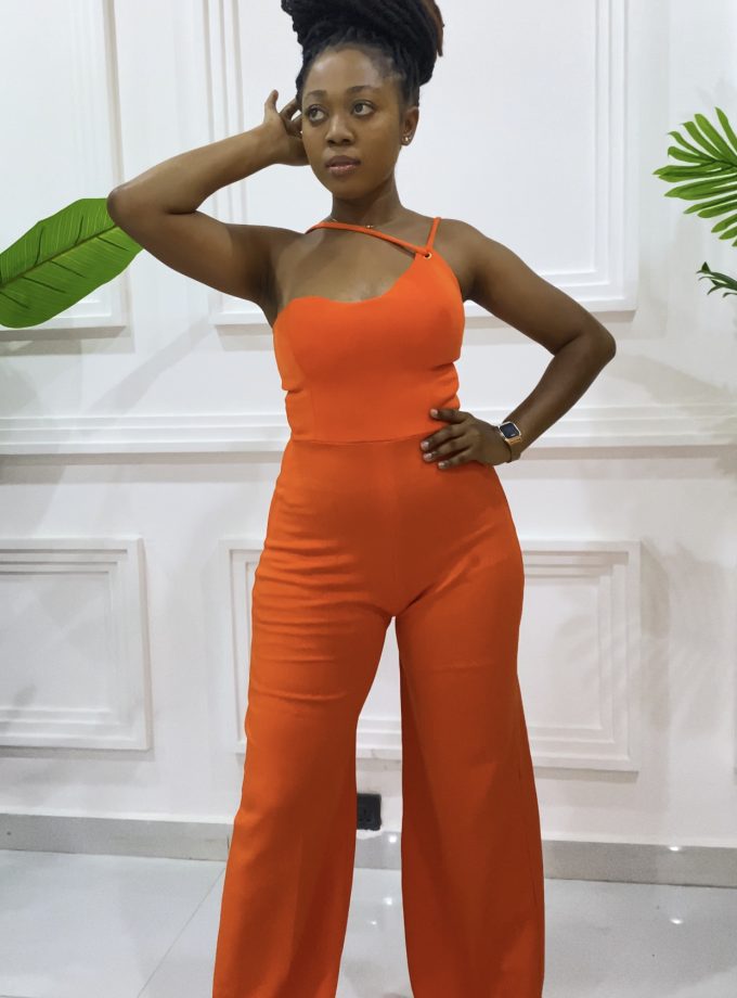 THE ALANI JUMPSUIT