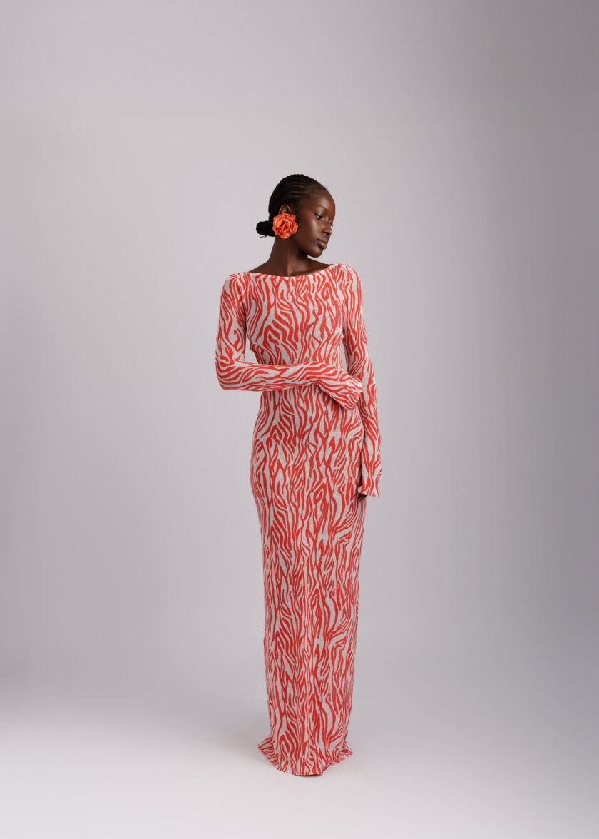 NESSA - Image 2